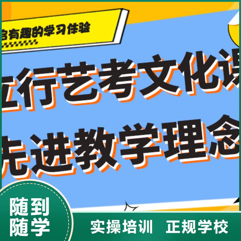 艺考生文化课培训补习哪里好定制专属课程