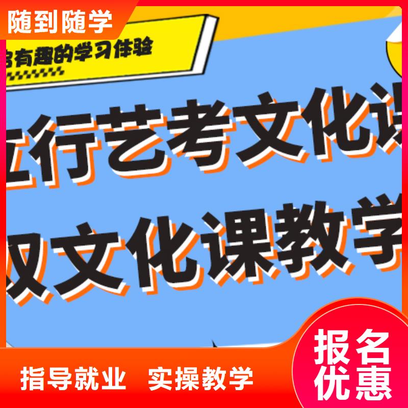 【藝考文化課輔導班藝考文化課集訓班課程多樣】