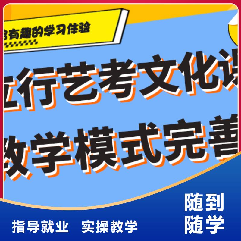 藝考文化課輔導班藝術生文化補習老師專業