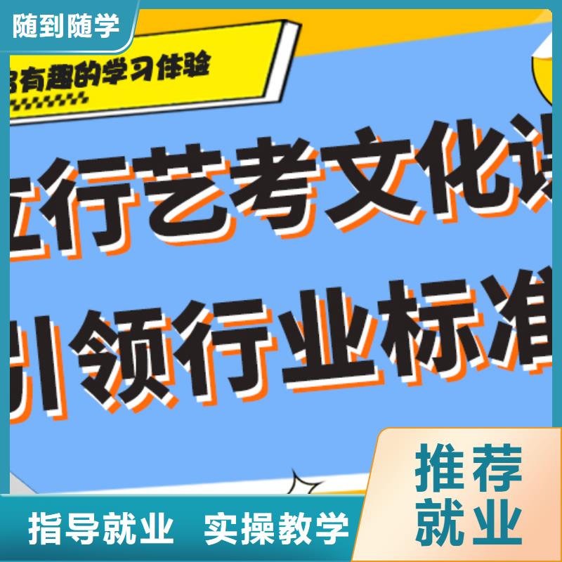 藝術(shù)生文化課培訓機構(gòu)【藝考文化課沖刺班】課程多樣