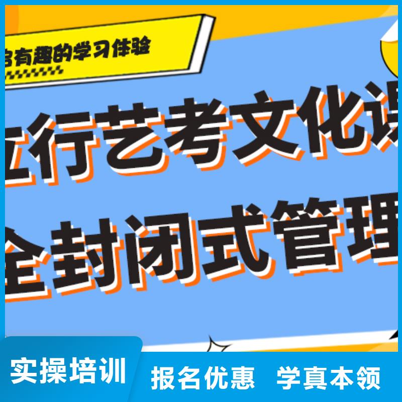 藝考文化課集訓(xùn)高考語(yǔ)文輔導(dǎo)課程多樣