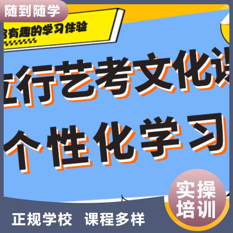 藝術(shù)生文化課補習學校排行榜小班授課模式