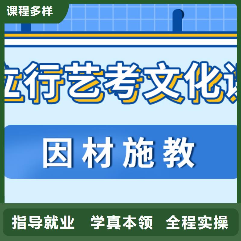 藝術生文化課培訓機構怎么樣藝考生文化課專用教材