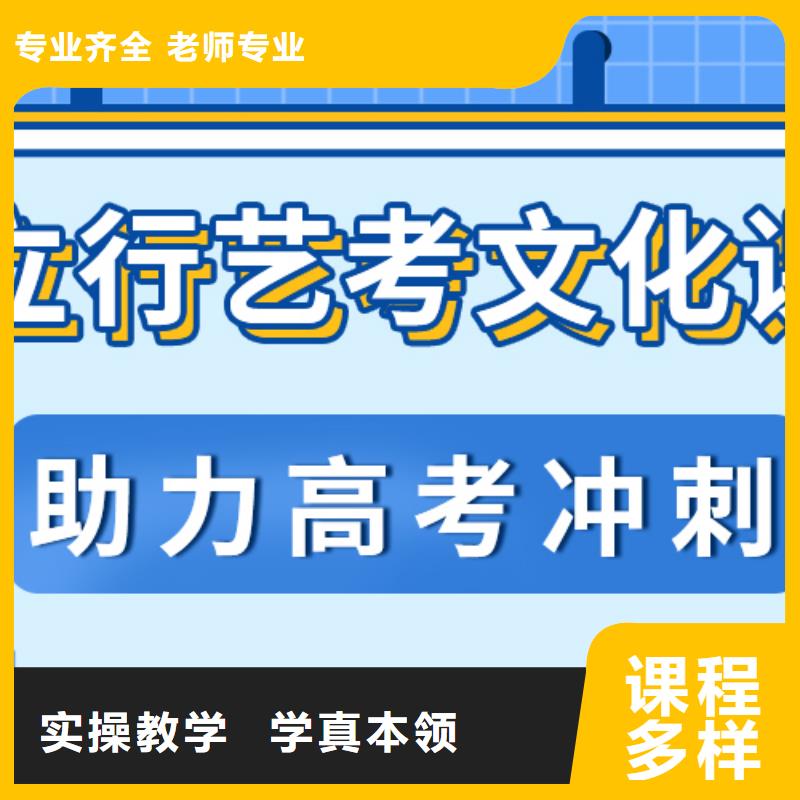 藝考文化課集訓(xùn)高考語文輔導(dǎo)課程多樣