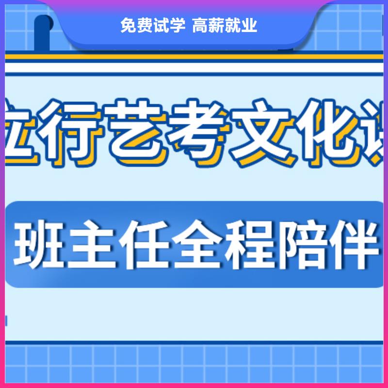 藝考文化課集訓(xùn)高考語文輔導(dǎo)課程多樣