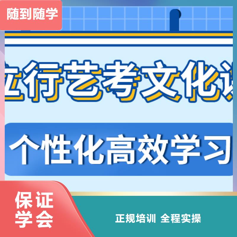 藝考文化課集訓(xùn)高考語文輔導(dǎo)課程多樣