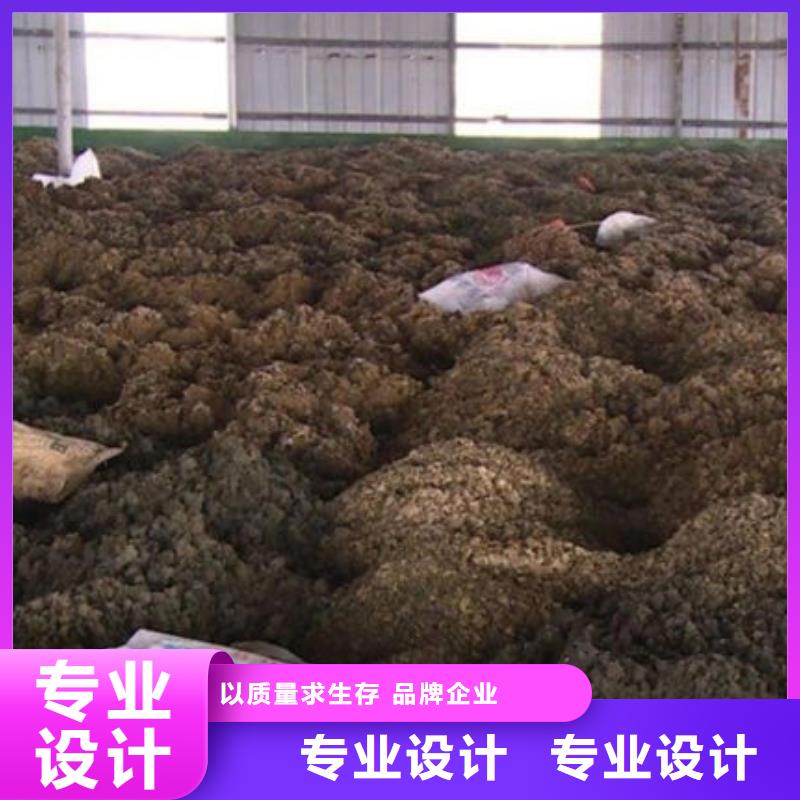  含铜泥现款现结