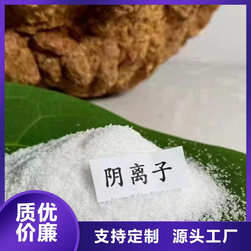 PAM款式新穎