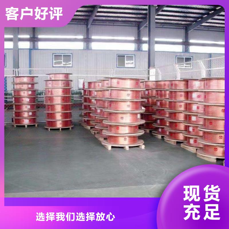 TP2紫铜盘管【修饰词