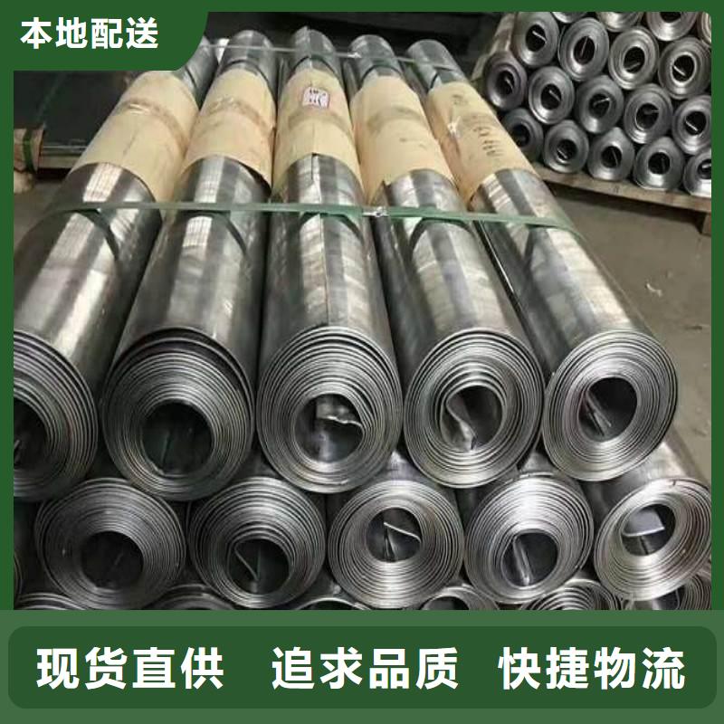 铅门实体厂家支持定制