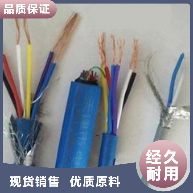 電線電纜PTYA23電纜您身邊的廠家