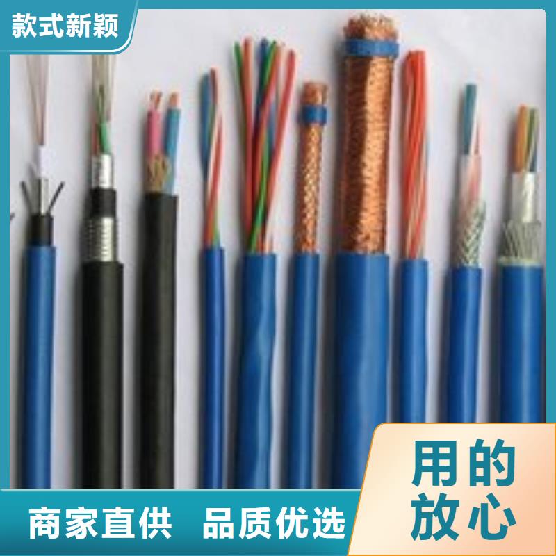 电线电缆-PTYA23电缆源头厂家直销