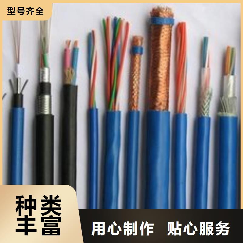 电线电缆-PTYA23电缆实力优品