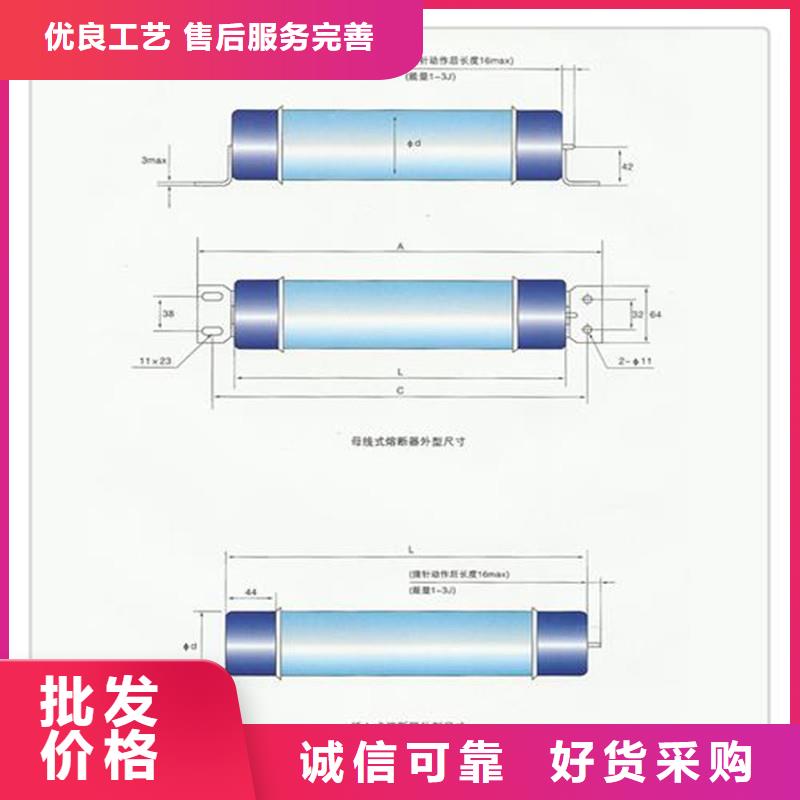 XRNP-40.5/2A熔斷器樊高