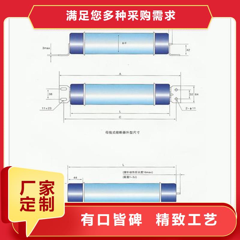 RN3-3/20高壓限流熔斷器