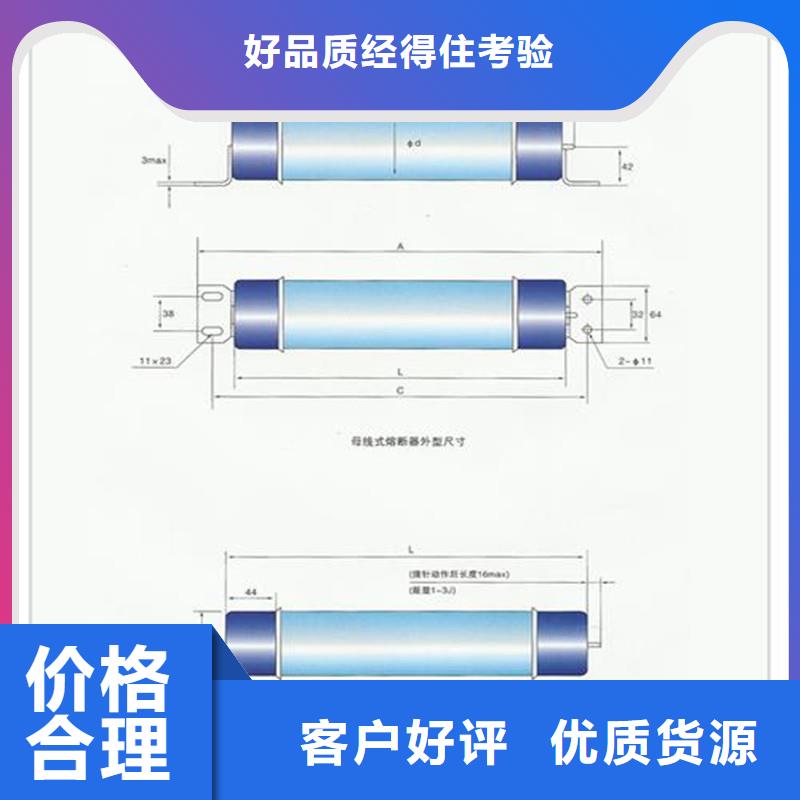 XRNM-10/63A高壓限流熔斷器