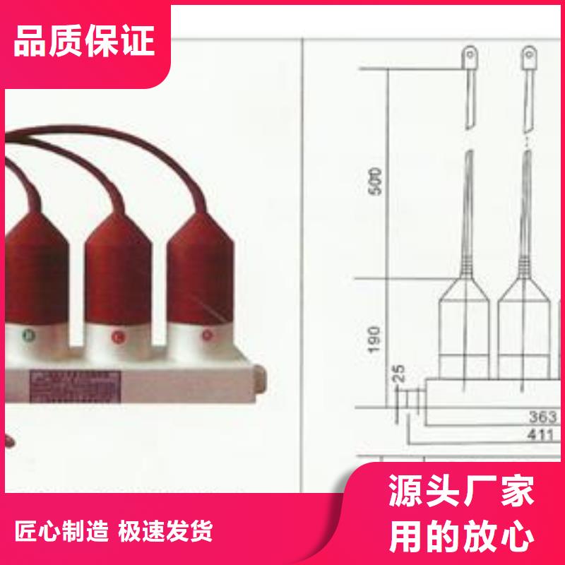 JCQ-3A避雷器在線(xiàn)監(jiān)測(cè)器圖片