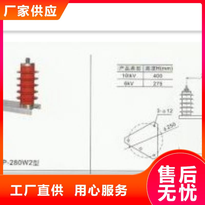 JS-10避雷器計數器