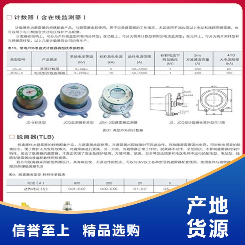 JCQ-10/600放電計數器圖片