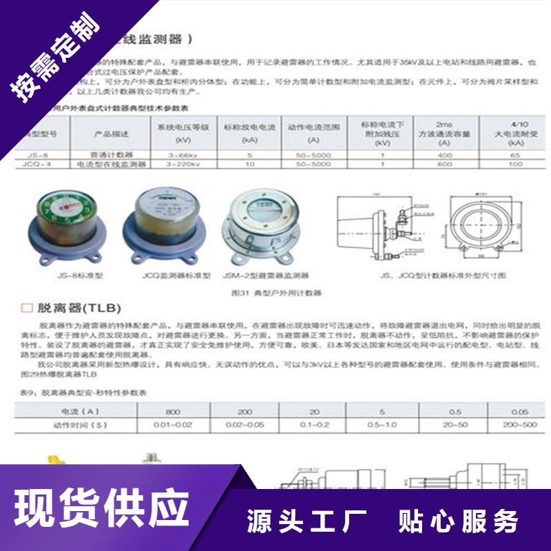 JS-85避雷器計數(shù)器