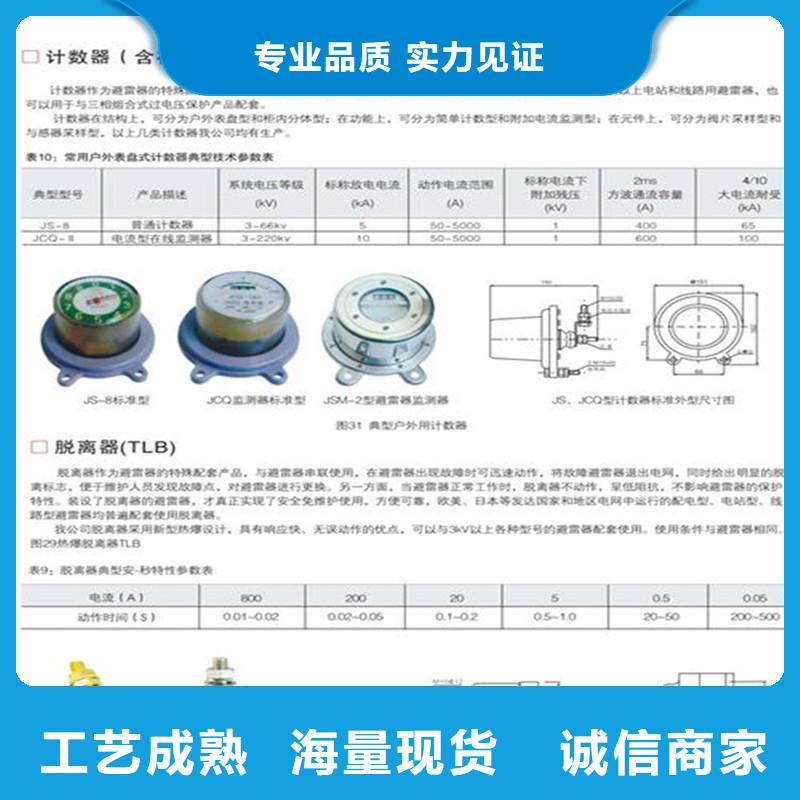 JCQ-4B避雷器放電計數器廠家