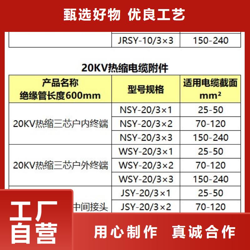 WSY-35/1.1單芯戶外終端頭