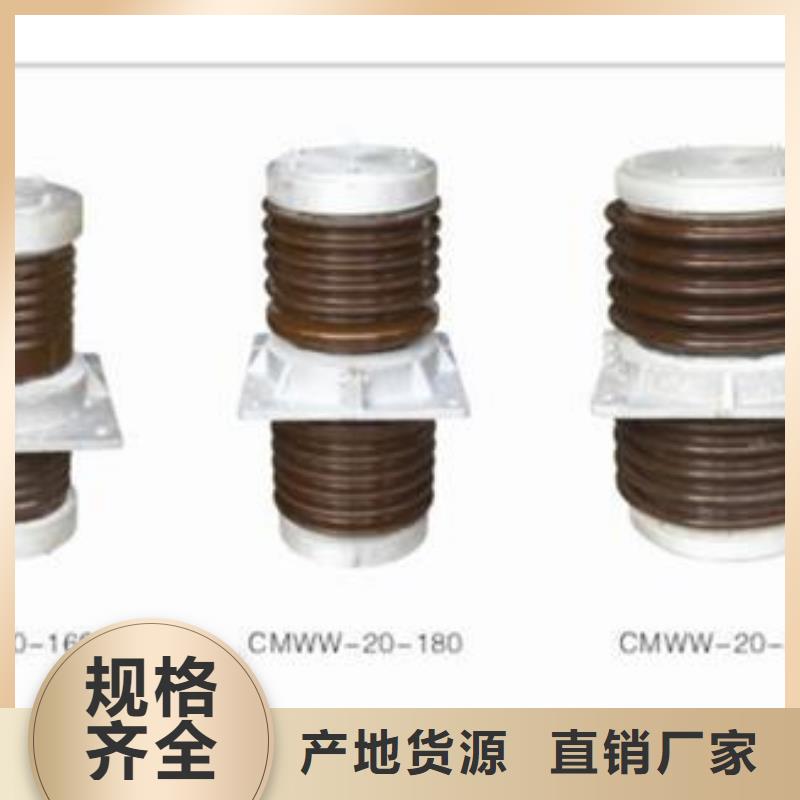 CWB-40.5/3000A陶瓷穿墻套管樊高