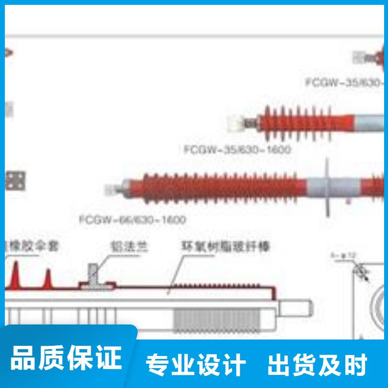 CWB-35/2500高壓穿墻套管樊高