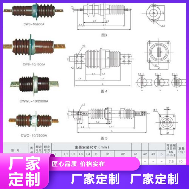 FCRG-20/2500高壓復合套管