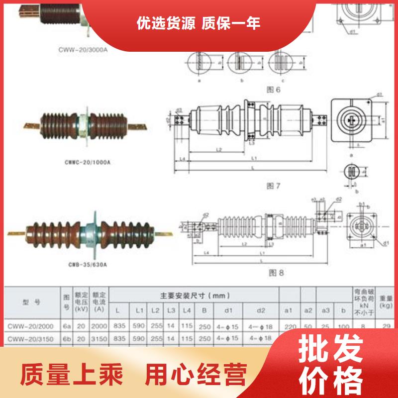 FCWW-10/2500高壓復(fù)合套管