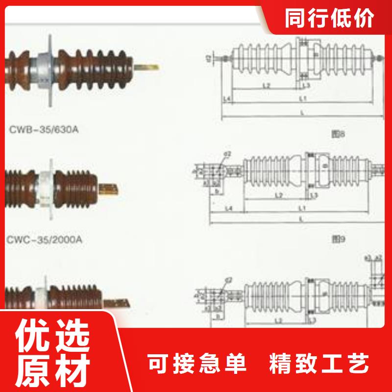 FCRG-12/1000A高壓硅膠穿墻套管