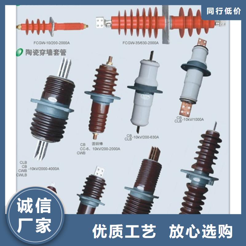 FCRG-24/2500高压硅胶穿墙套管