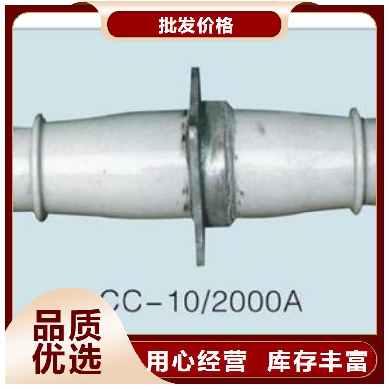 FCGW-10/3150A高壓復合套管