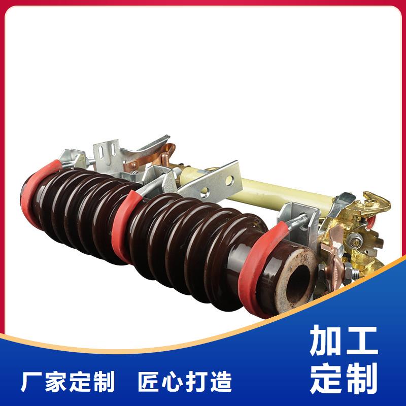 PD3-6KV/100A出口型跌落保險