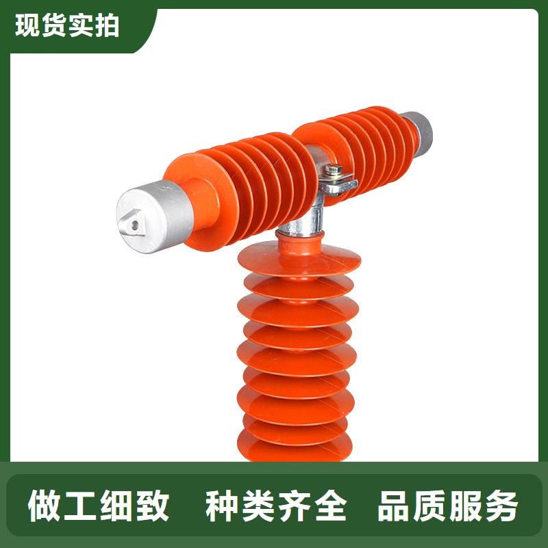 XRNP-10KV/2A限流熔斷器廠家