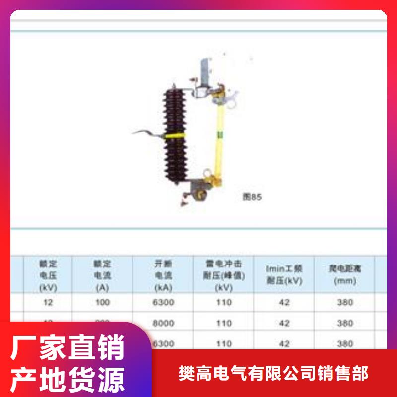 XRNT-40.5/50A文昌市高壓保險