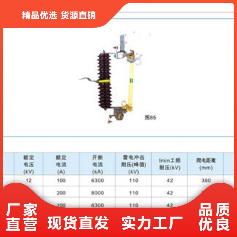 RXWO-40.5/0.5A限流熔斷器說明