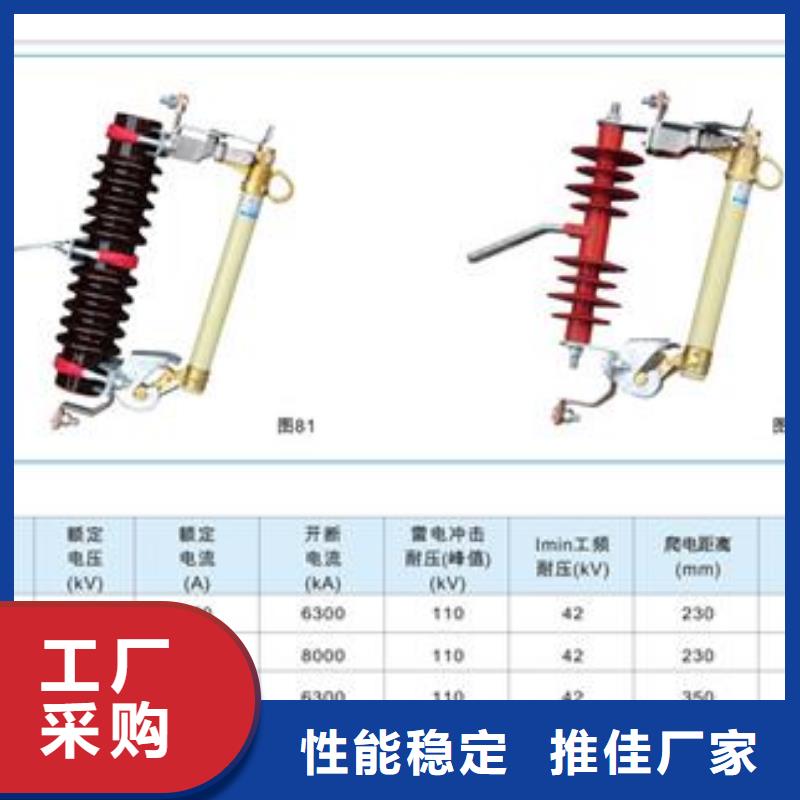 XS-12/100A跌落式熔斷器樊高