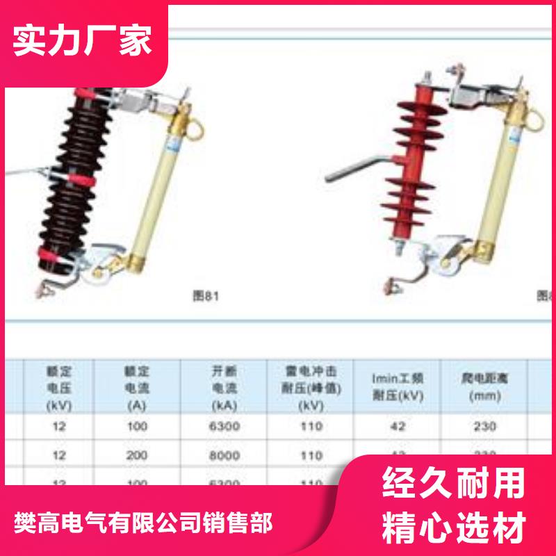 出口型跌落式熔斷器跌落保險(xiǎn)樊高