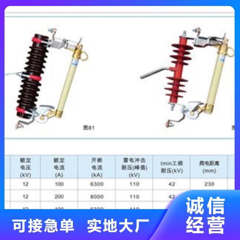 XRNP1-24/1A高壓熔斷器價格