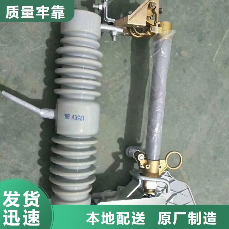 BR1-10/50A高壓限流熔斷器廠家