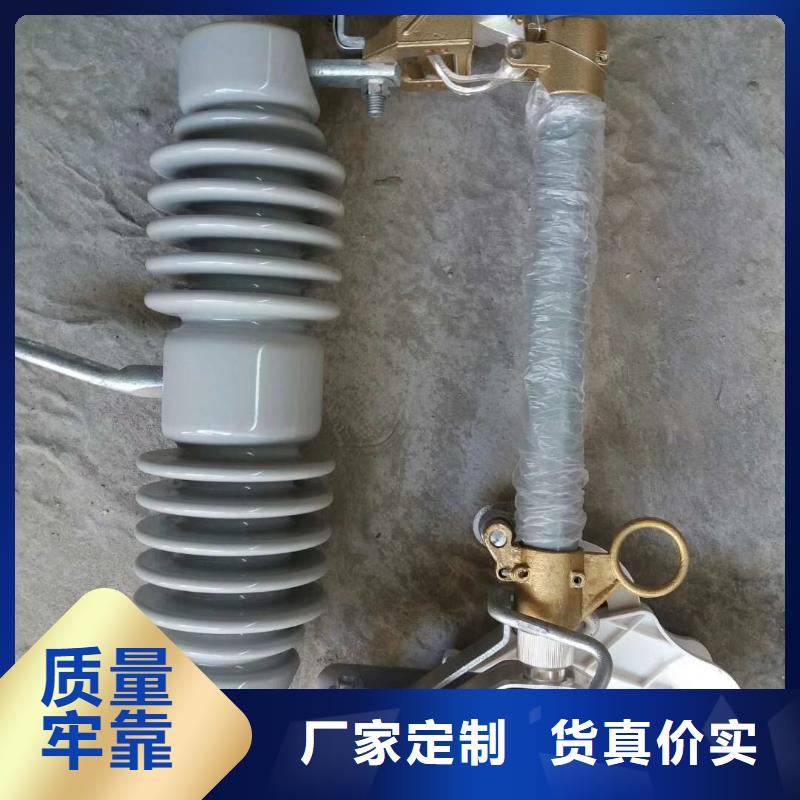 BR1-10/50A高壓限流熔斷器廠家