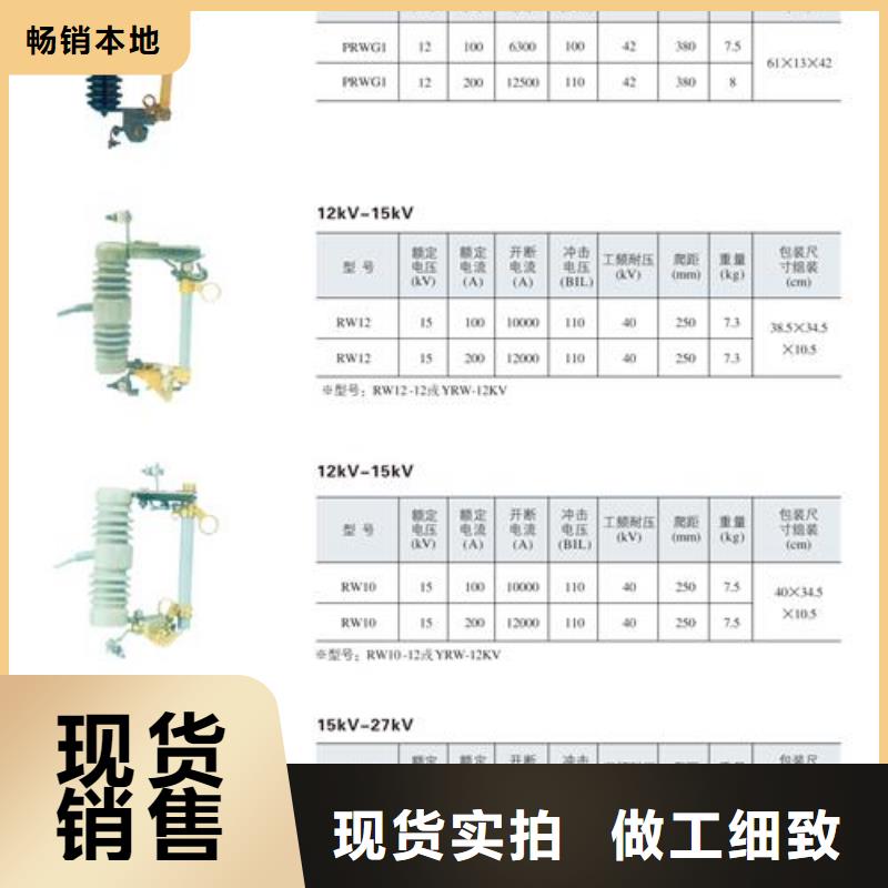 RXWO-40.5/0.5A限流熔斷器說明