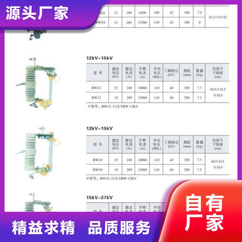 XRNP-12/0.2A高壓限流熔斷器廠家