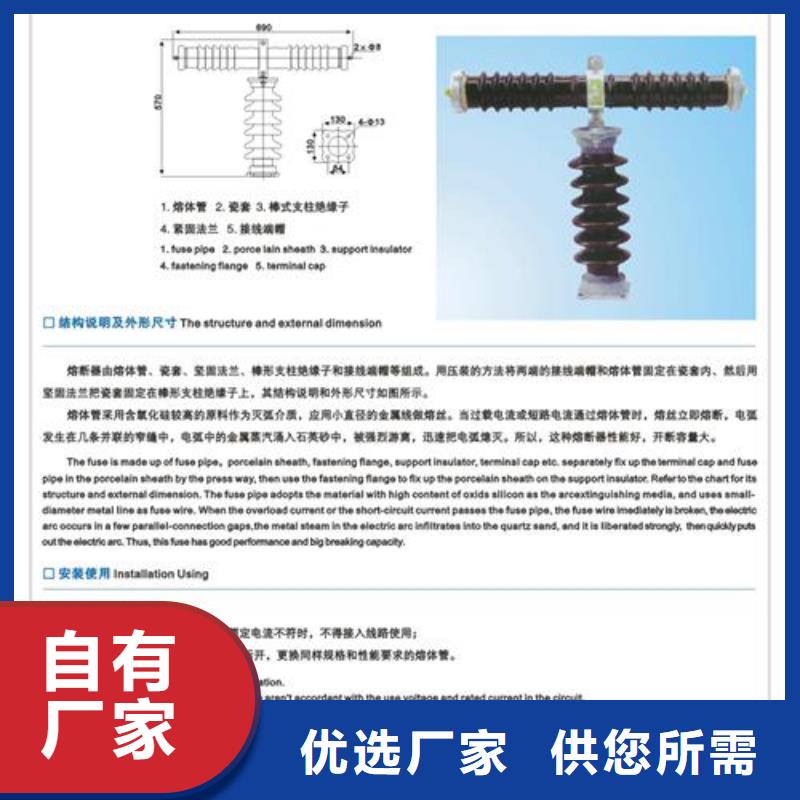 熔斷器,氧化鋅避雷器經驗豐富質量放心