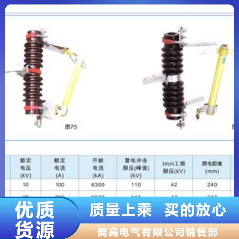 PRW12-33/100A高壓跌落保險(xiǎn)廠家