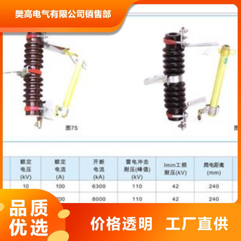 PD3-10/100A高壓熔斷器樊高