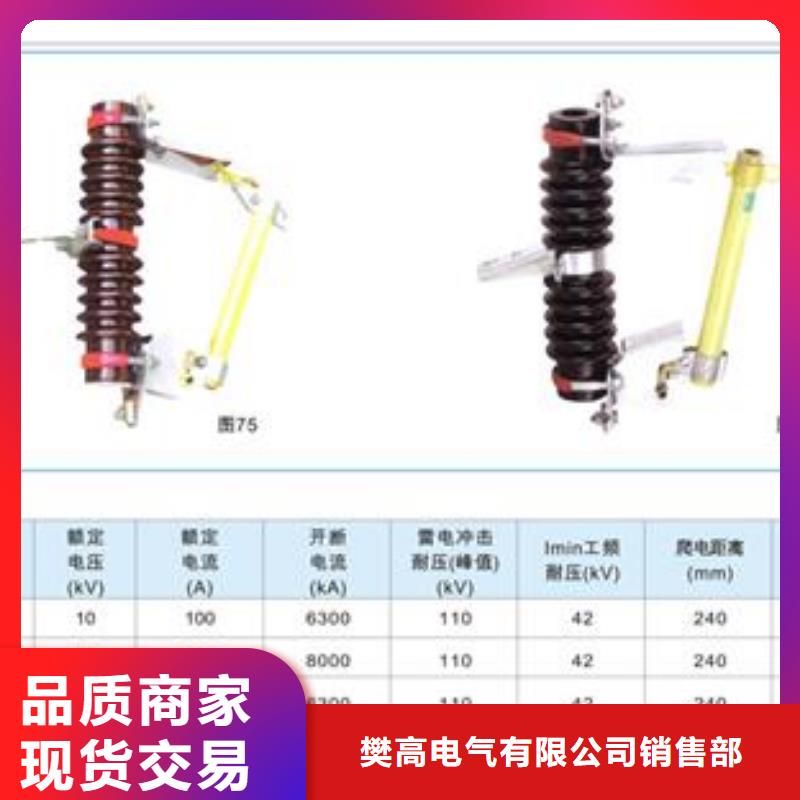 PRW12-33/100跌落保險(xiǎn)樊高