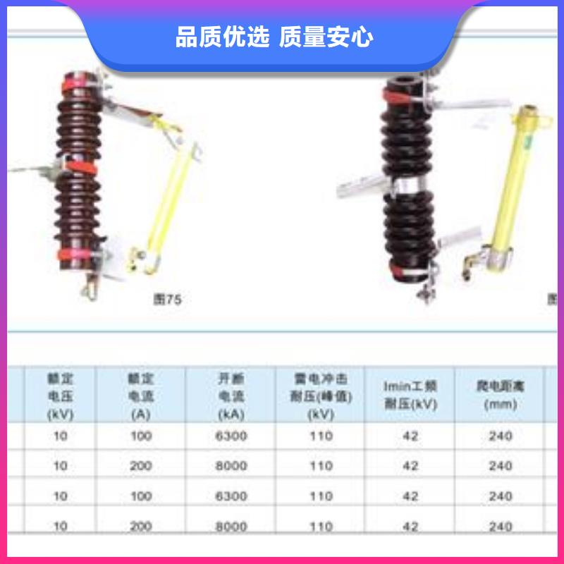 PD3-6KV/100A出口型跌落保險