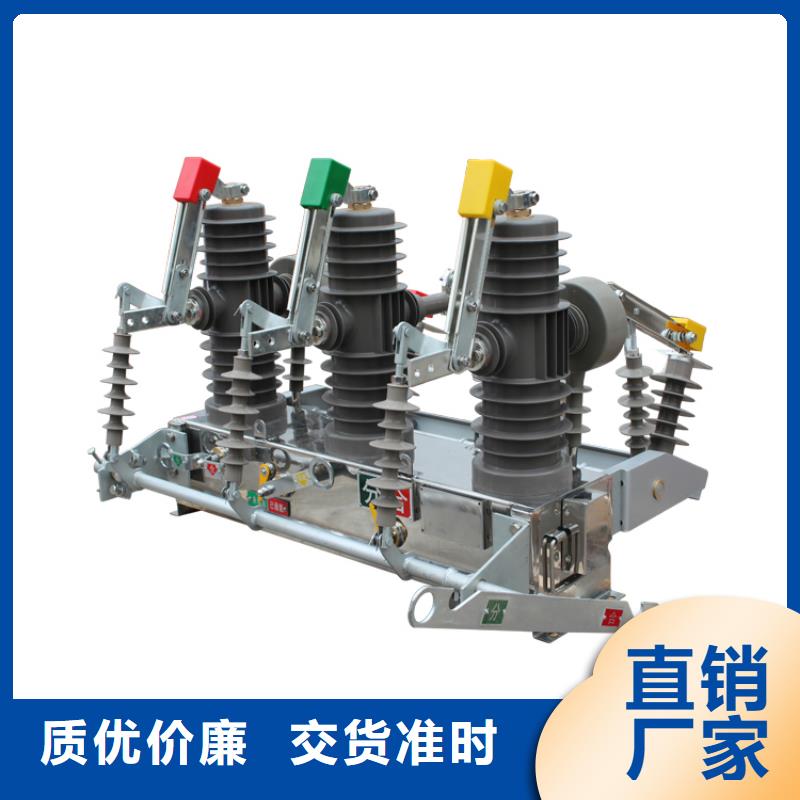 VS1-12/630-25戶內真空斷路器手車式